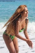 Foto Immagine Liisa Asiatica Ladyboy Trans 3489026722 - 320
