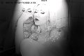 Foto Immagine Mary Ts Trans Francoforte 00491751281117 - 7