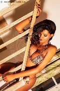 Foto Immagine Maya Venere Transescort Milano 3936122116 - 231
