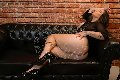 Foto Immagine Melissa Andrade Escort Vicenza 3331411494 - 6