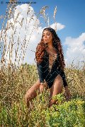 Foto Immagine Mell Trans Milano 3246024840 - 97