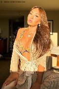 Foto Immagine Miss Isabella Trans 3445148792 - 14