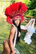 Foto Immagine Miss Pocahontas Trans Siena 3398059304 - 55