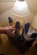 Foto Immagine Mistress Diana Queen Mistress Verona 3287753444 - 28