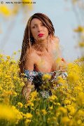 Foto Immagine Monica Kicelly Transescort Parma 3245833097 - 201