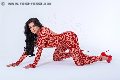 Foto Immagine Morena Motta Transescort Perugia 3298597682 - 11