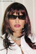 Foto Immagine Nadja Shark Mistress Budapest 0036204358279 - 28