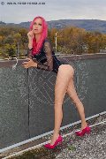Foto Immagine Nady Transescort Vicenza 3338758341 - 90