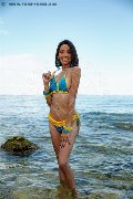 Foto Immagine Nara Trans Marina Di Montemarciano 3491526431 - 52