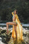 Foto Immagine Nara Trans Marina Di Montemarciano 3491526431 - 51