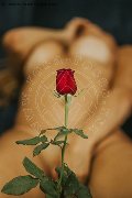Foto Immagine Nina La Vera Dea Trans Ginevra 3759884313 - 159