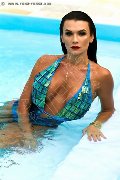 Foto Immagine Pamela Trans Fitness Transescort Alessandria 3511205888 - 47