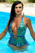 Foto Immagine Pamela Trans Fitness Transescort Alessandria 3511205888 - 51