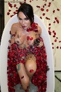 Foto Immagine Pamy Trans Torre Del Lago Puccini 3891473351 - 18