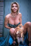 Foto Immagine Patrizia Class Transescort Ginevra 3884033792 - 20