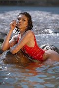 Foto Immagine Paula Bituschini Trans Genova 3898857998 - 111