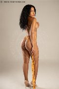 Foto Immagine Perla Escort Treviso 3921586689 - 9