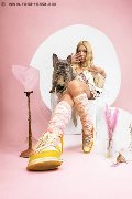 Foto Immagine Princess Auri Trans 3792797191 - 14
