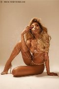 Foto Immagine Rebecca Ferraz Pornostar Transescort Roma 3494107593 - 68