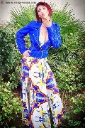 Foto Immagine Regina Audrey Italiana Trans Monza 3889831116 - 5