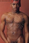 Foto Immagine Ricardo Boy Bologna 3381719064 - 3