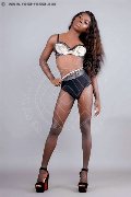 Foto Immagine Safira Snt'z  Trans Alba Adriatica 3278243596 - 47