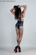 Foto Immagine Safira Snt'z  Trans Alba Adriatica 3278243596 - 49