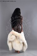 Foto Immagine Safira Sant'z  Transescort Alba Adriatica 3278243596 - 72