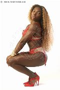 Foto Immagine Safira Sant'z  Transescort Alba Adriatica 3278243596 - 3