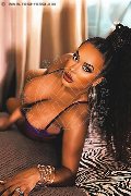 Foto Immagine Sandra Ravach Transescort Reggio Emilia 3341547195 - 73