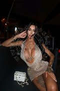 Foto Immagine Sara Luna Trans Grosseto 3342293953 - 3