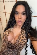 Conegliano Trans Escort Abbey 320 31 62 142 foto selfie 3