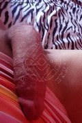 Isernia Trans Alessandra Dior 371 52 12 112 foto selfie 88