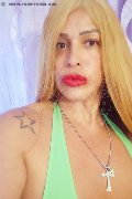 Olbia Trans Alida 320 17 76 916 foto selfie 1