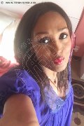 Milano Trans Amber 347 40 04 169 foto selfie 14