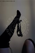  Trans Escort Arielli Collins 353 38 91 489 foto selfie 7