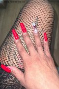 Reggio Calabria Trans Escort Bruna Menegassy 333 19 26 407 foto selfie 21