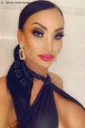 Alba Adriatica Trans Brunet 328 24 42 724 foto selfie 11