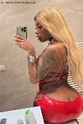 Padova Trans Campbell 393 33 57 541 foto selfie 12