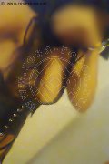 Alessandria Mistress Fenix 338 88 30 800 foto selfie 1