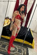 Napoli Trans Escort Jasmine 342 32 03 042 foto selfie 16