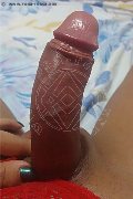 Civitanova Marche Trans Jennifer Anguria Pornostar 349 93 98 298 foto selfie 175