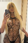 Salvador Bahia Trans Keitty Tolposky  00557182900655 foto selfie 2