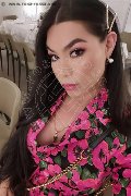 Mestre Trans Kim Tifany 344 70 63 881 foto selfie 18