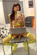 Udine Trans Escort Marcella Pops 351 29 33 730 foto selfie 132