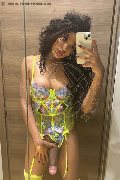 Novara Trans Miele 331 78 08 280 foto selfie 77