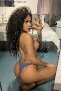 Legnano Trans Escort Miele 331 78 08 280 foto selfie 13