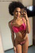 Novara Trans Escort Miele 331 78 08 280 foto selfie 29