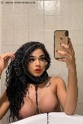 Novara Trans Escort Miele 331 78 08 280 foto selfie 36
