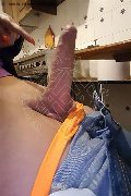 Legnano Trans Mina 320 86 85 055 foto selfie 42